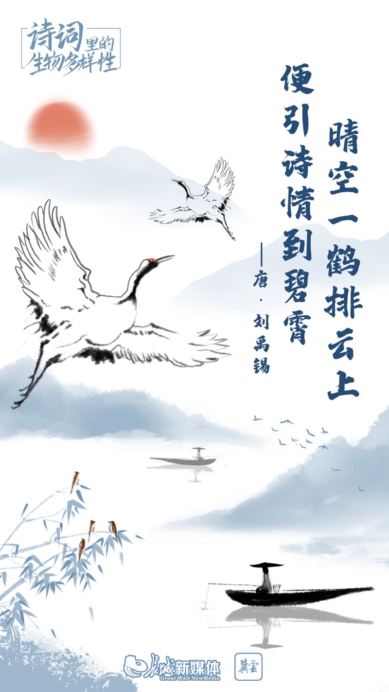 日用百货批发：市场动态与趋势洞察